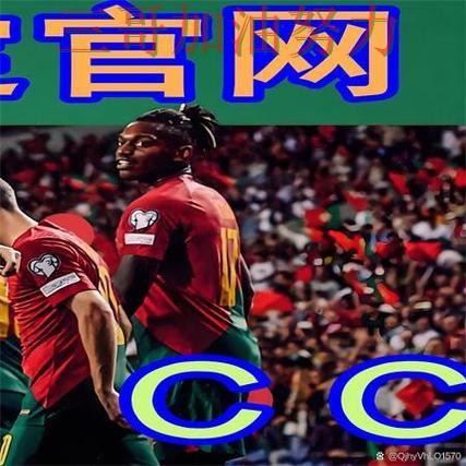 世界杯买球是否值得用？一篇讲清楚｜平台排行（世界杯赛事中心）